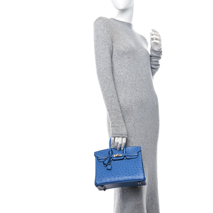 Hermes Ostrich Birkin 25 Mykonos 2 of 12