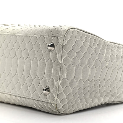 Christian Dior Snakeskin Large Lady Dior Beige Ombre 9 of 11