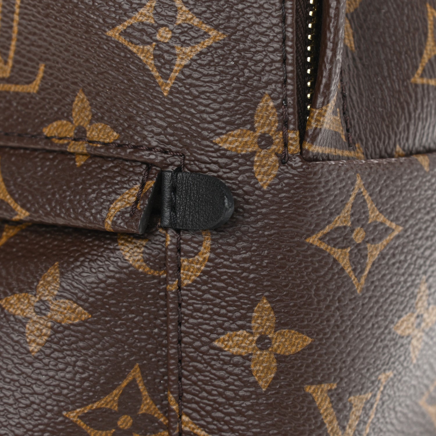 Louis Vuitton Monogram Palm Springs Backpack PM 10 of 10