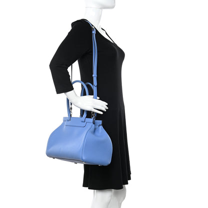 Moynat Taurillon Gex Pauline Tote 2 of 10