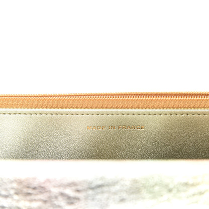 Chanel Metallic Goatskin Quilted 2.55 Reissue Wallet on Chain WOC Multicolor 9 of 12