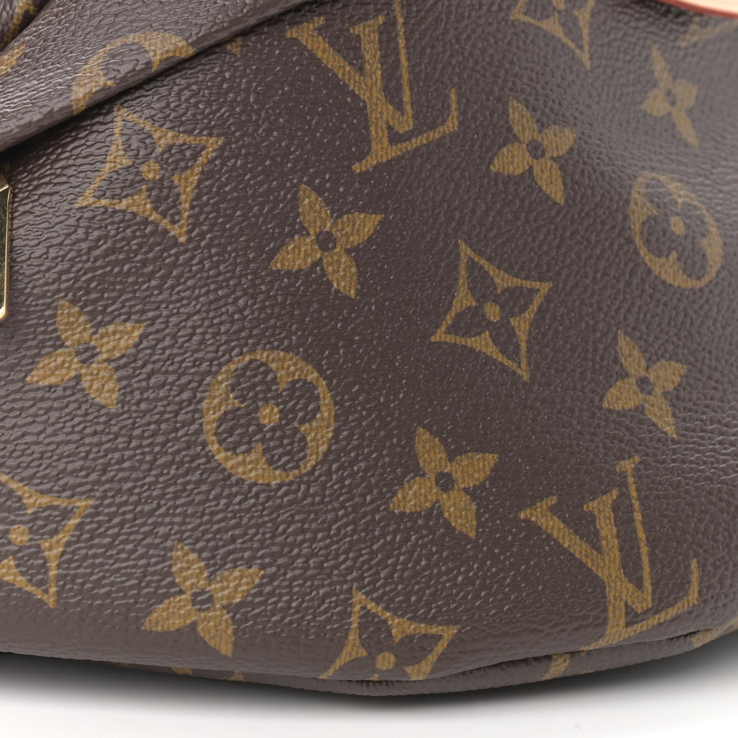 Monogram Bumbag