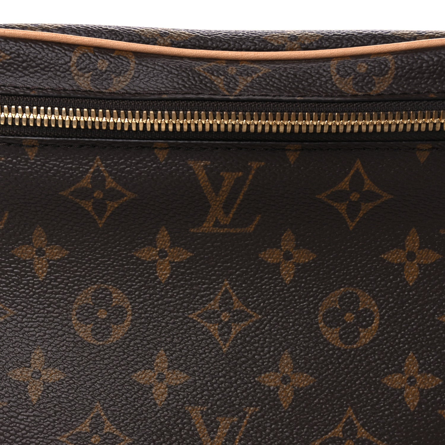 Louis Vuitton Monogram Nice BB 8 of 8