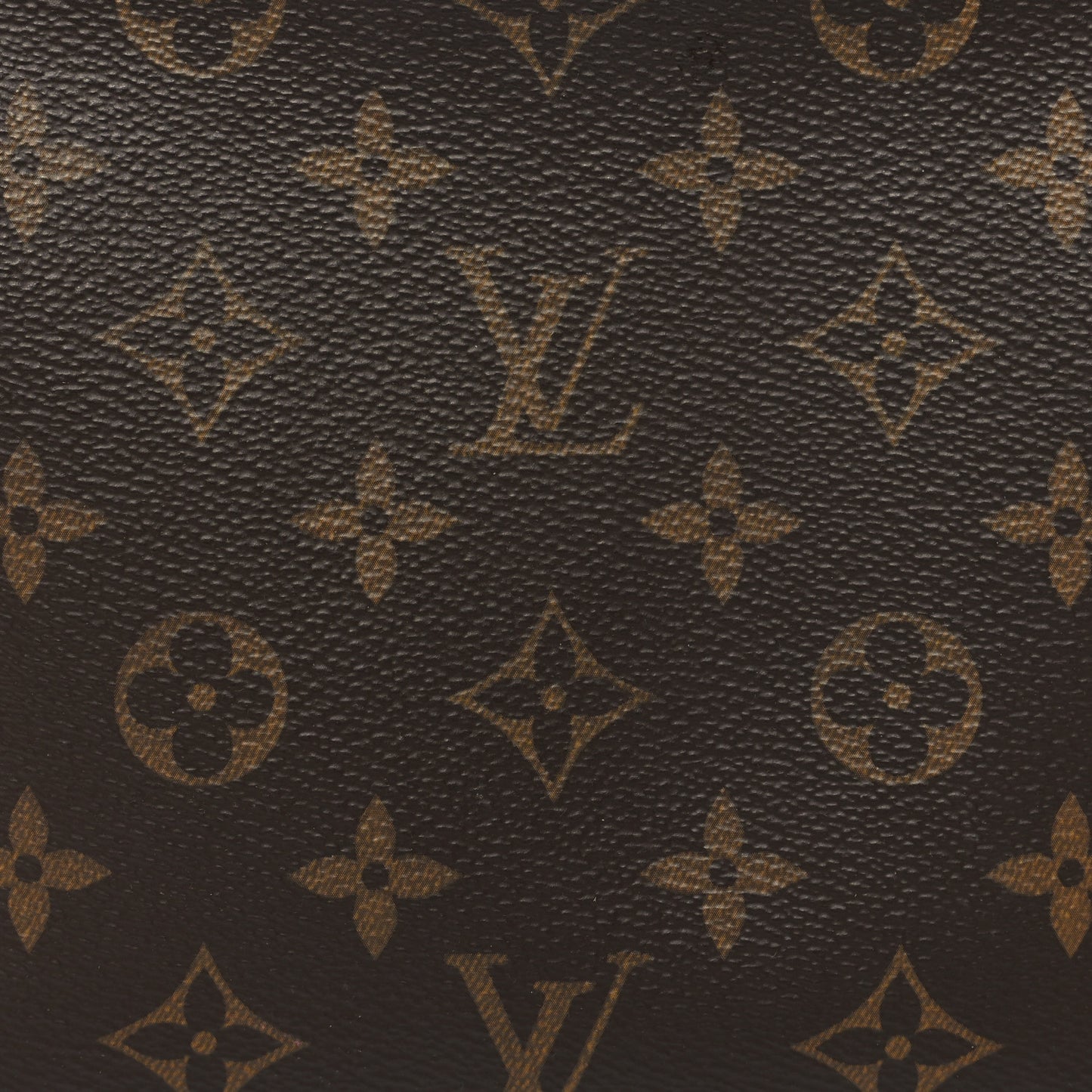 Monogram Toiletry Pouch 19