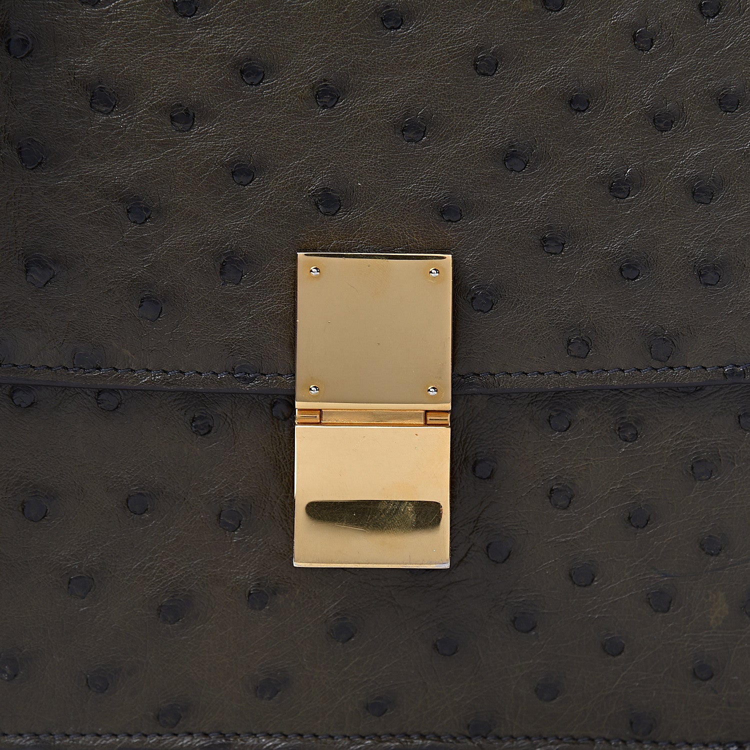 Celine Ostrich Medium Classic Box Flap Bag Khaki 9 of 15