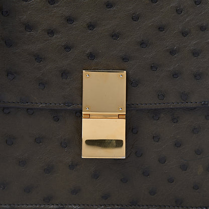 Celine Ostrich Medium Classic Box Flap Bag Khaki 9 of 15