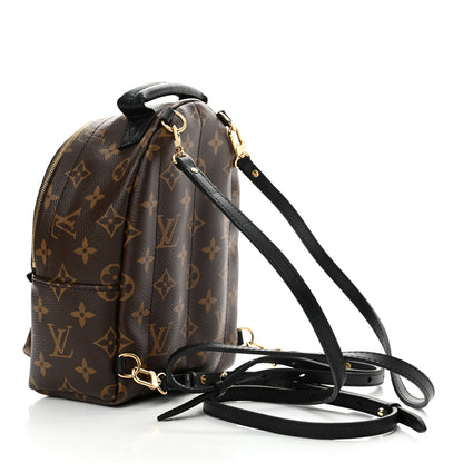 Louis Vuitton Monogram Palm Springs Backpack Mini 3 of 10