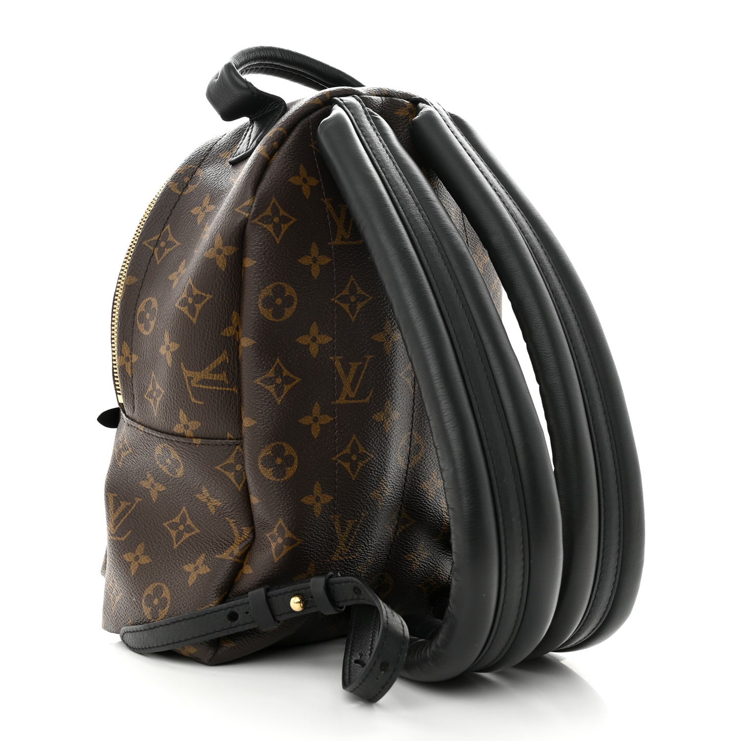Monogram Palm Springs Backpack PM
