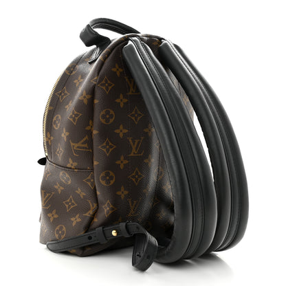 Louis Vuitton Monogram Palm Springs Backpack PM 3 of 9