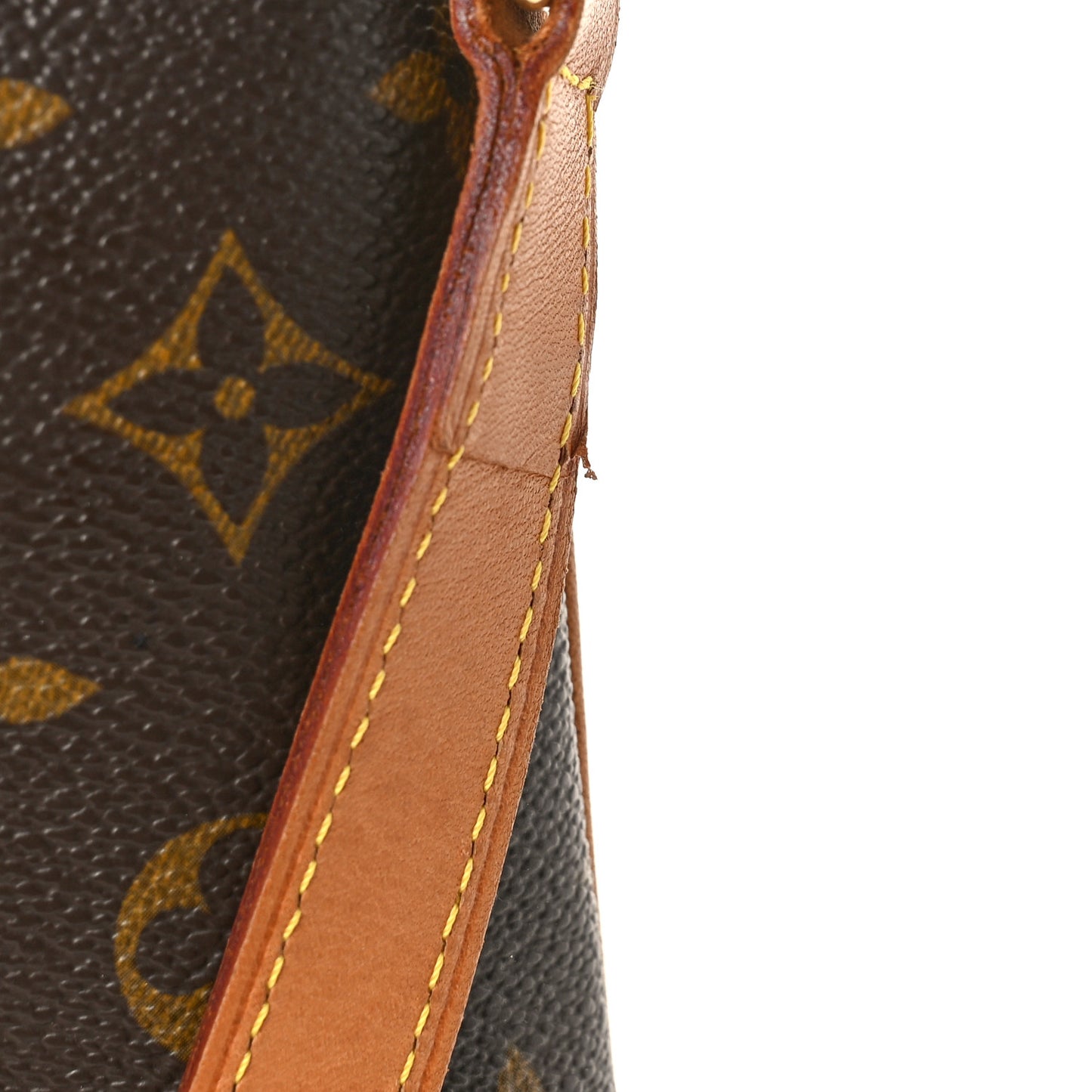 Monogram Musette Salsa