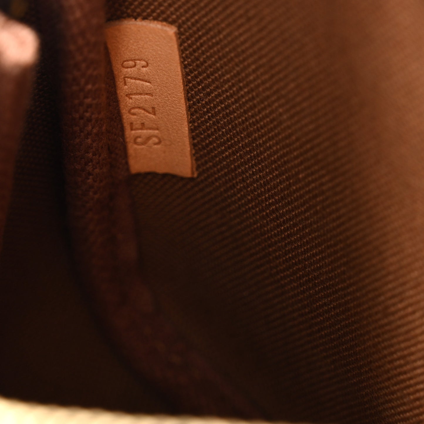 Monogram Mini Pochette Accessories