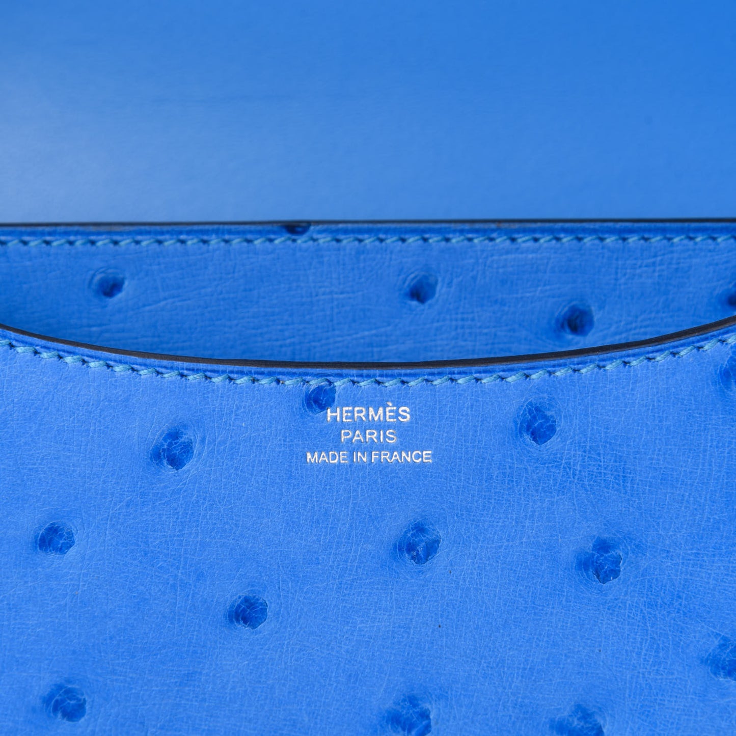 Ostrich Constance 18 Bleuet
