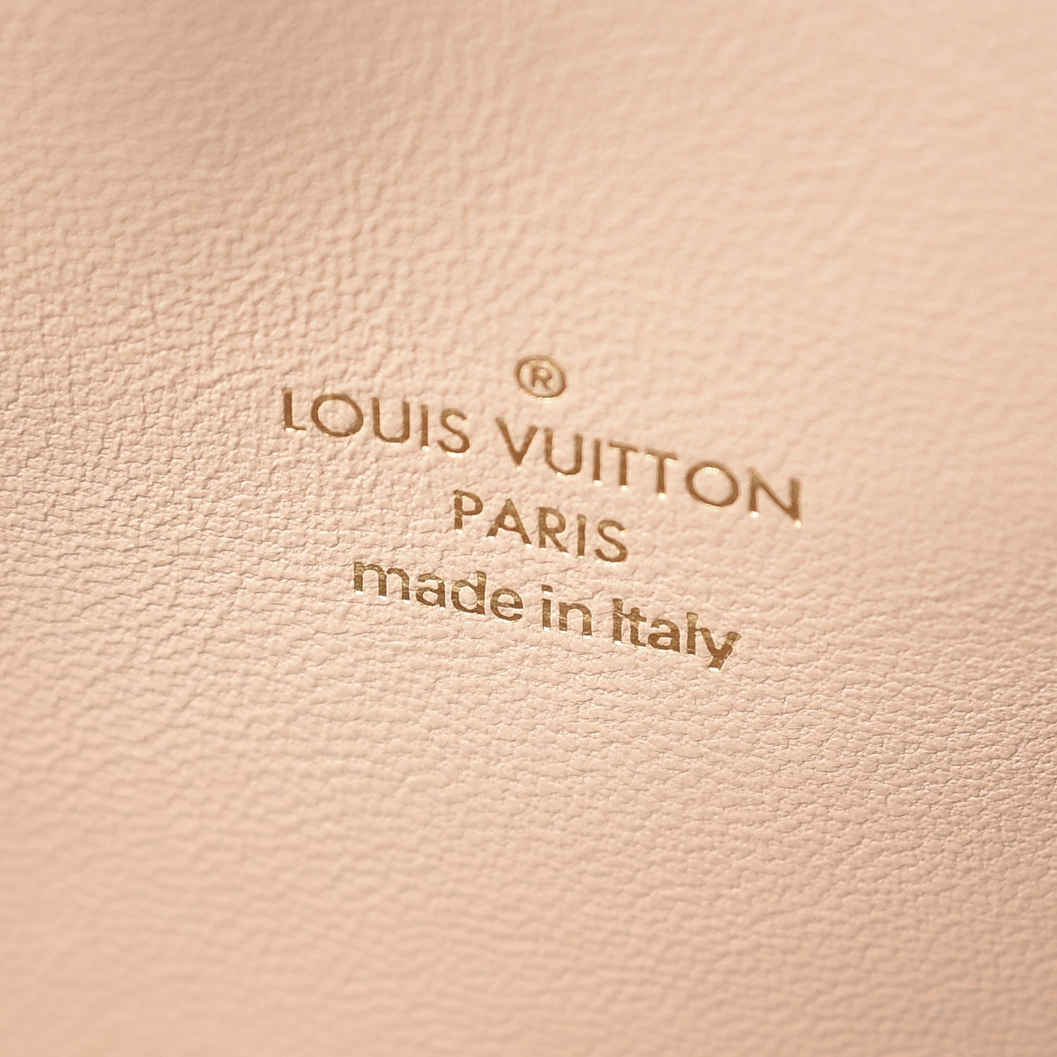 Louis Vuitton Monogram Speedy Amazon PM White Chocolat 6 of 14
