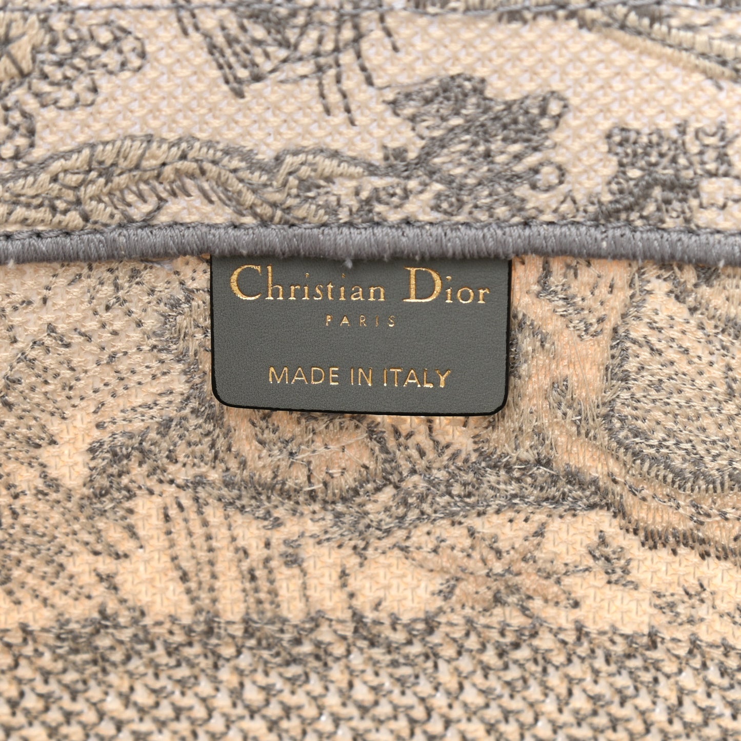 Canvas Embroidered Medium Dioriviera Toile De Jouy Book Tote Gray