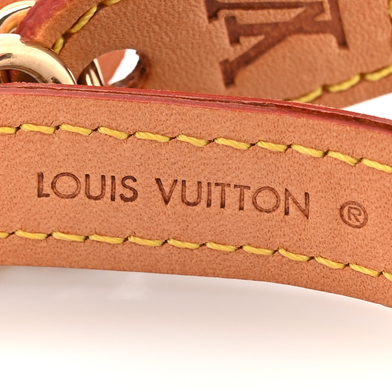 Louis Vuitton Monogram Baxter Dog Collar PM 3 of 6