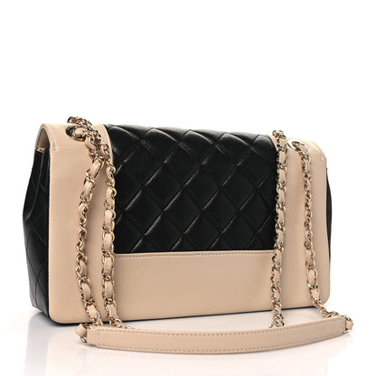 Chanel Sheepskin Quilted Vintage Mademoiselle Flap Beige Black 3 of 11