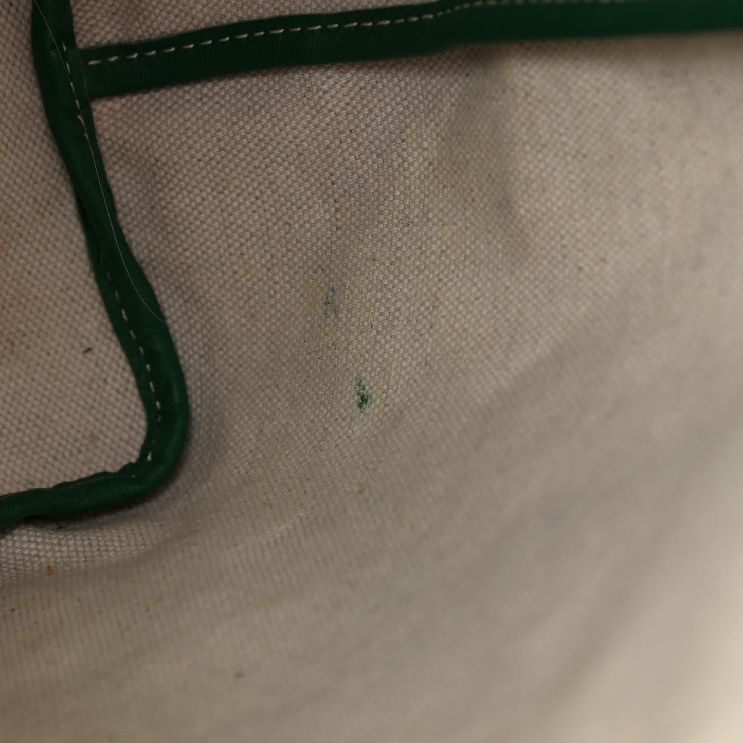 Goyardine Saint Louis PM Green