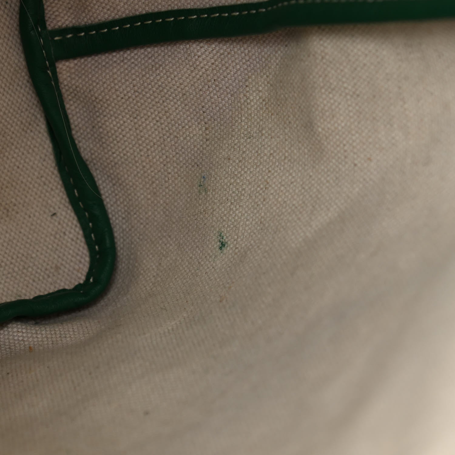 Goyard Goyardine Saint Louis PM Green 15 of 18