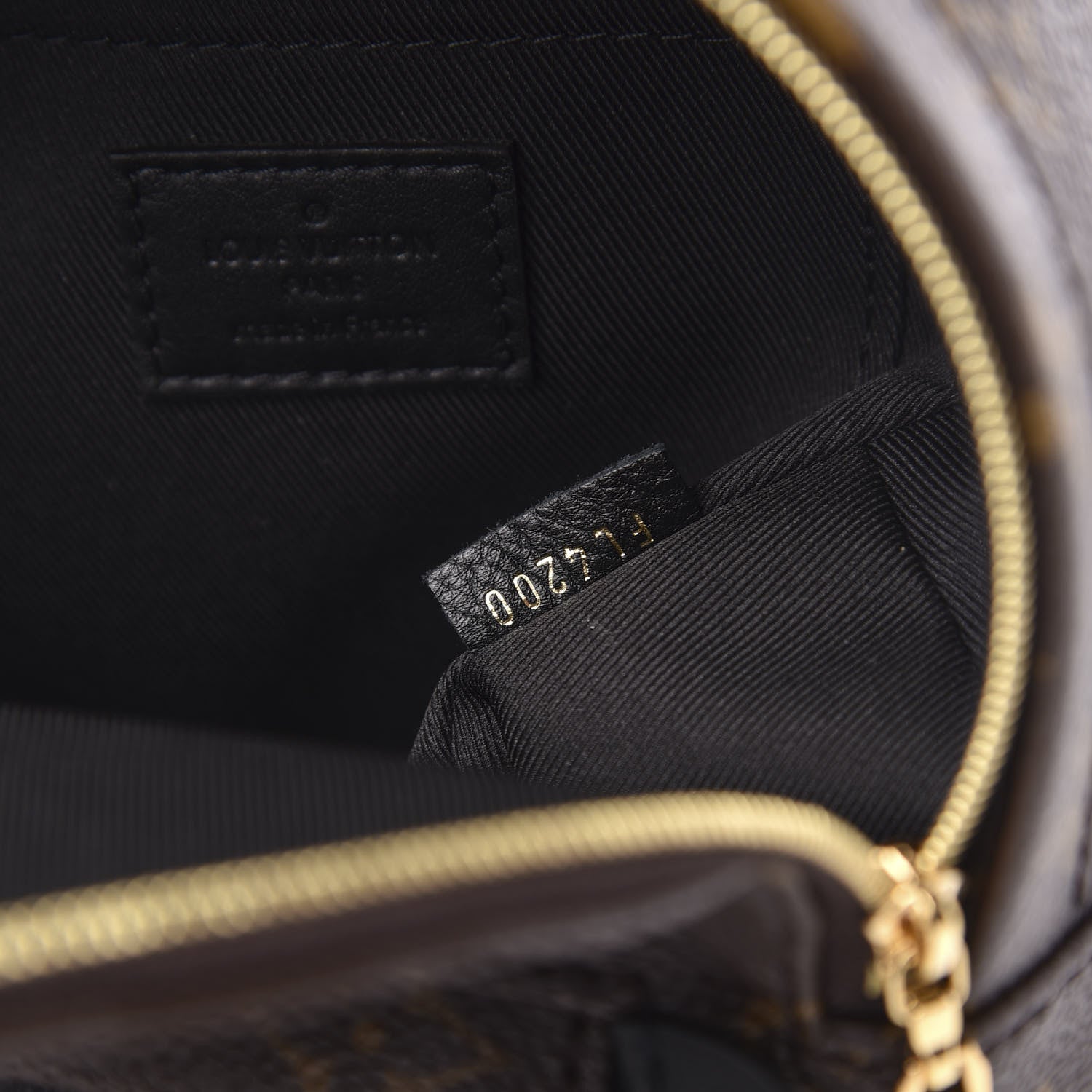 Louis Vuitton Monogram Palm Springs Backpack Mini 6 of 9