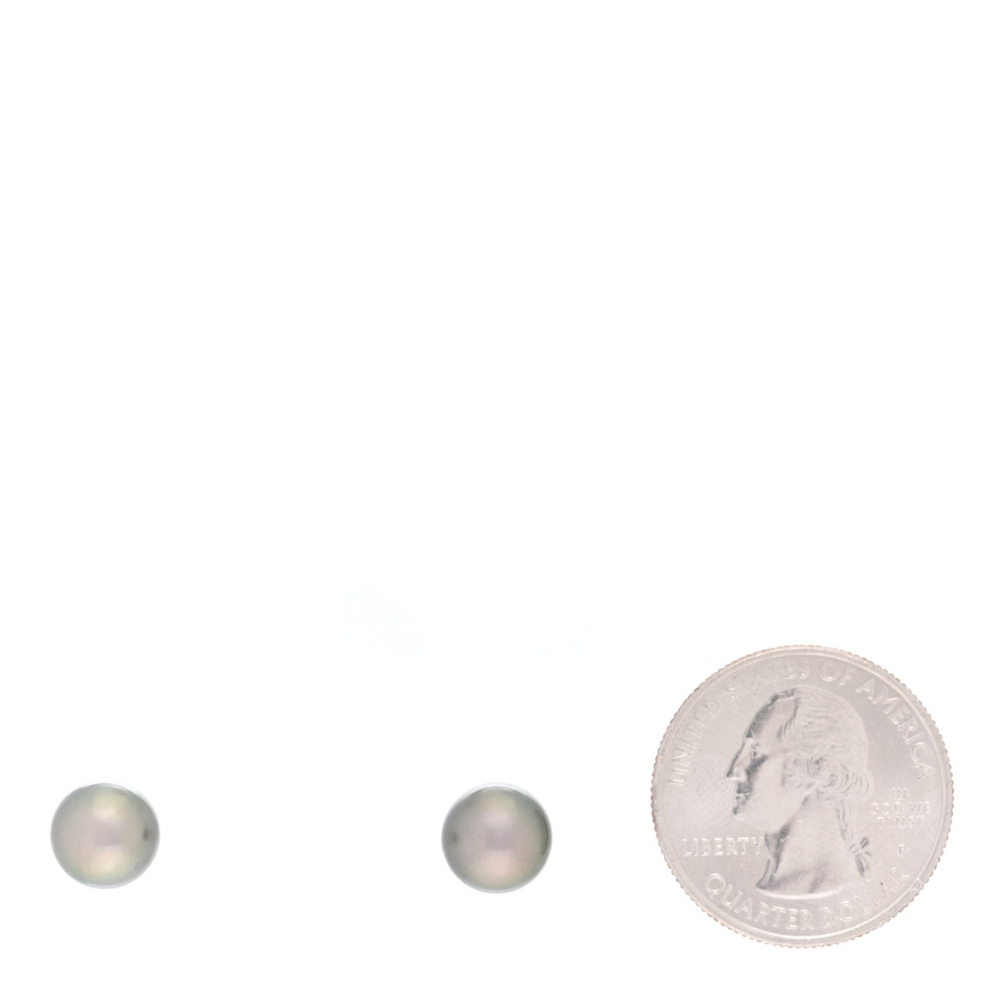 18K White Gold Black South Sea Pearl 9mm Stud Earrings