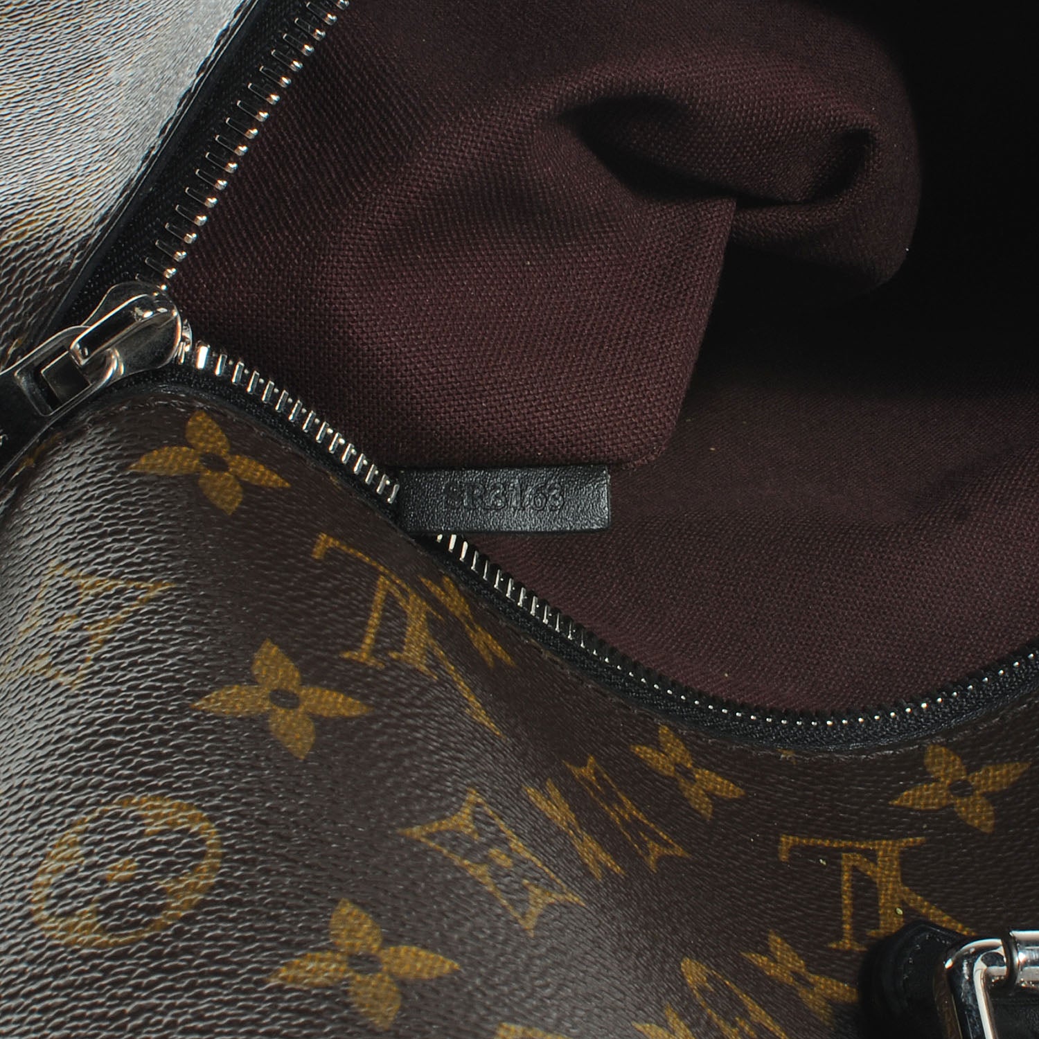 Louis Vuitton Monogram Macassar Palk Backpack 7 of 8