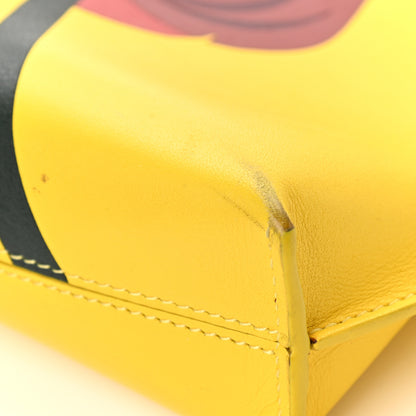 Loewe Calfskin Poppy Print Crossbody Bag Yellow 10 of 13