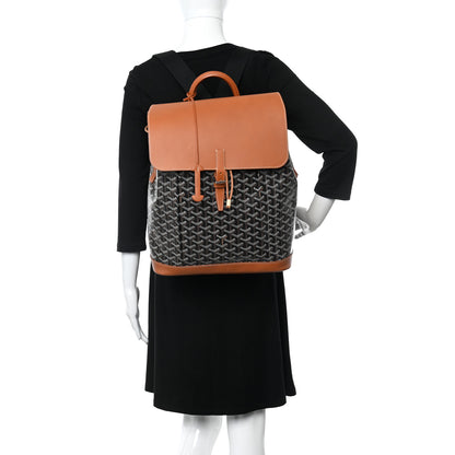Goyard Goyardine Calfskin Alpin MM Backpack Gold Black 2 of 15