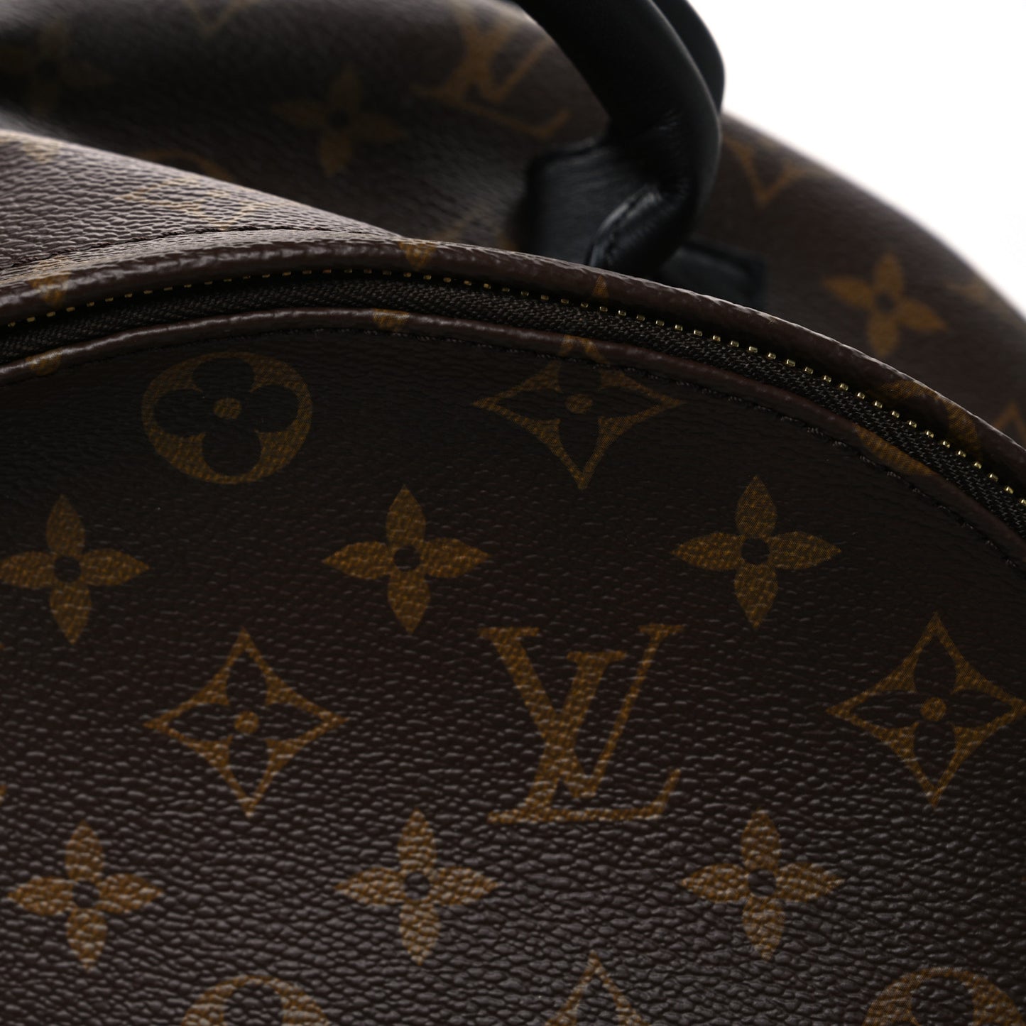 Monogram Palm Springs Backpack MM Black