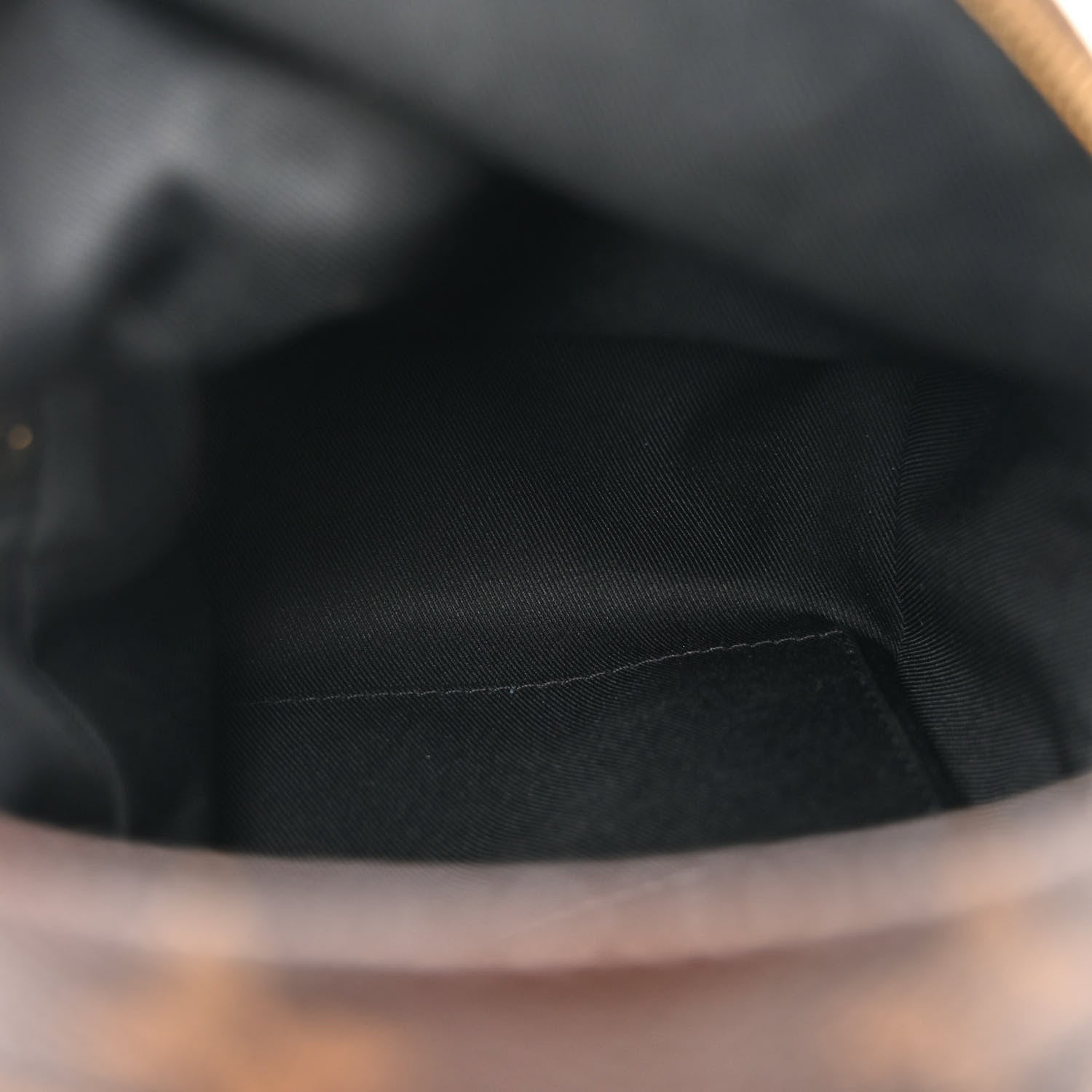 Louis Vuitton Monogram Palm Springs Backpack Mini 5 of 10