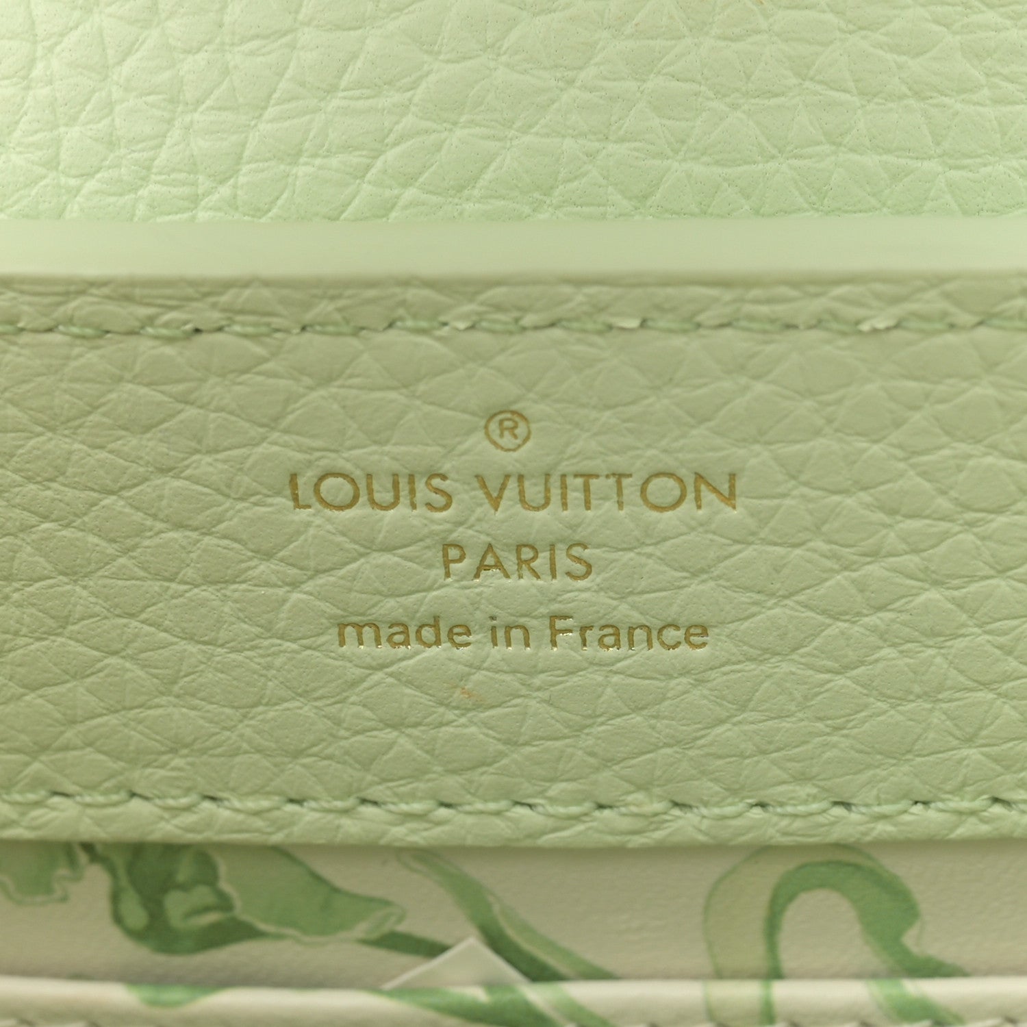 Louis Vuitton Taurillon Karung Mini Capucines Vert D'eau Green 6 of 10