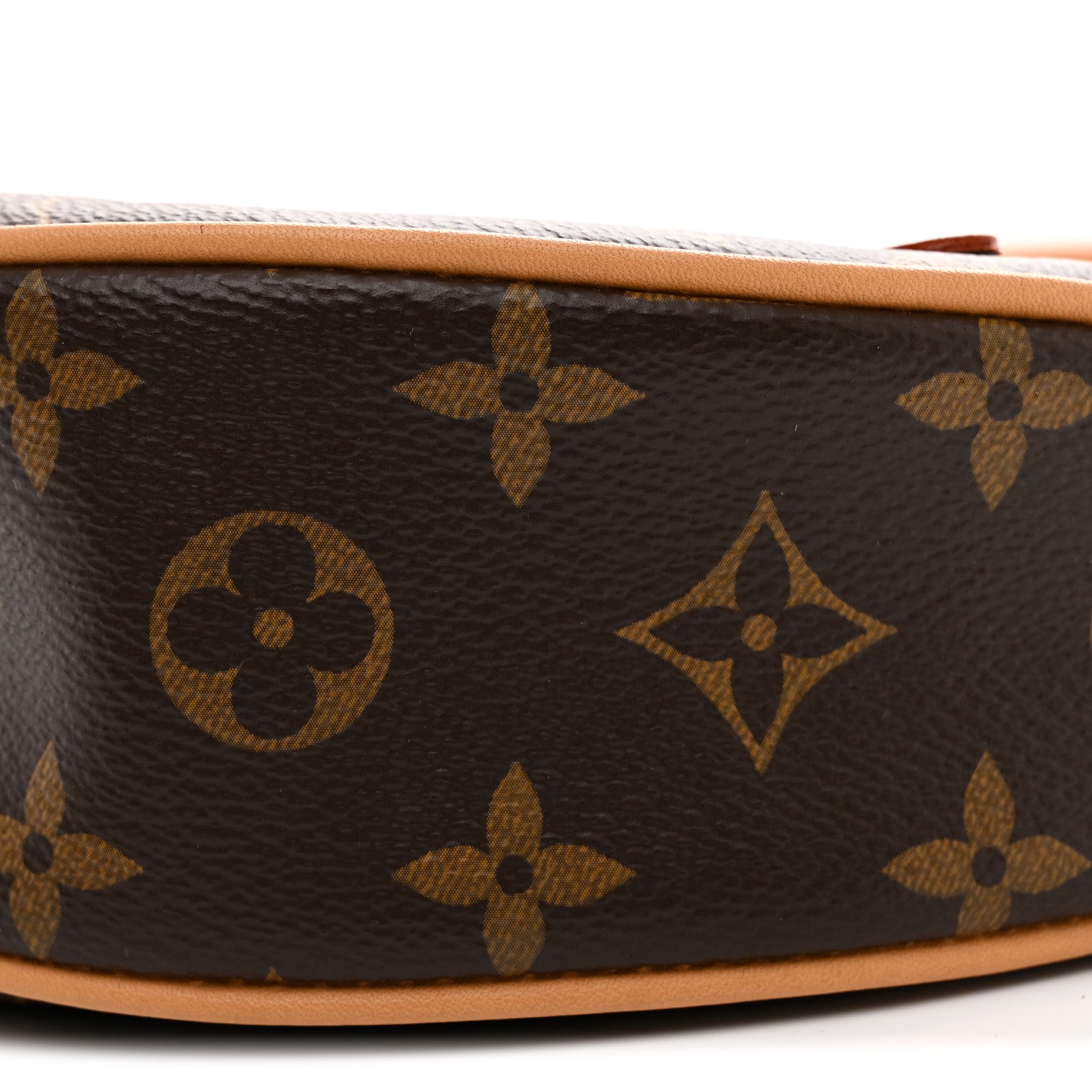 Louis Vuitton Monogram Loop 9 of 9