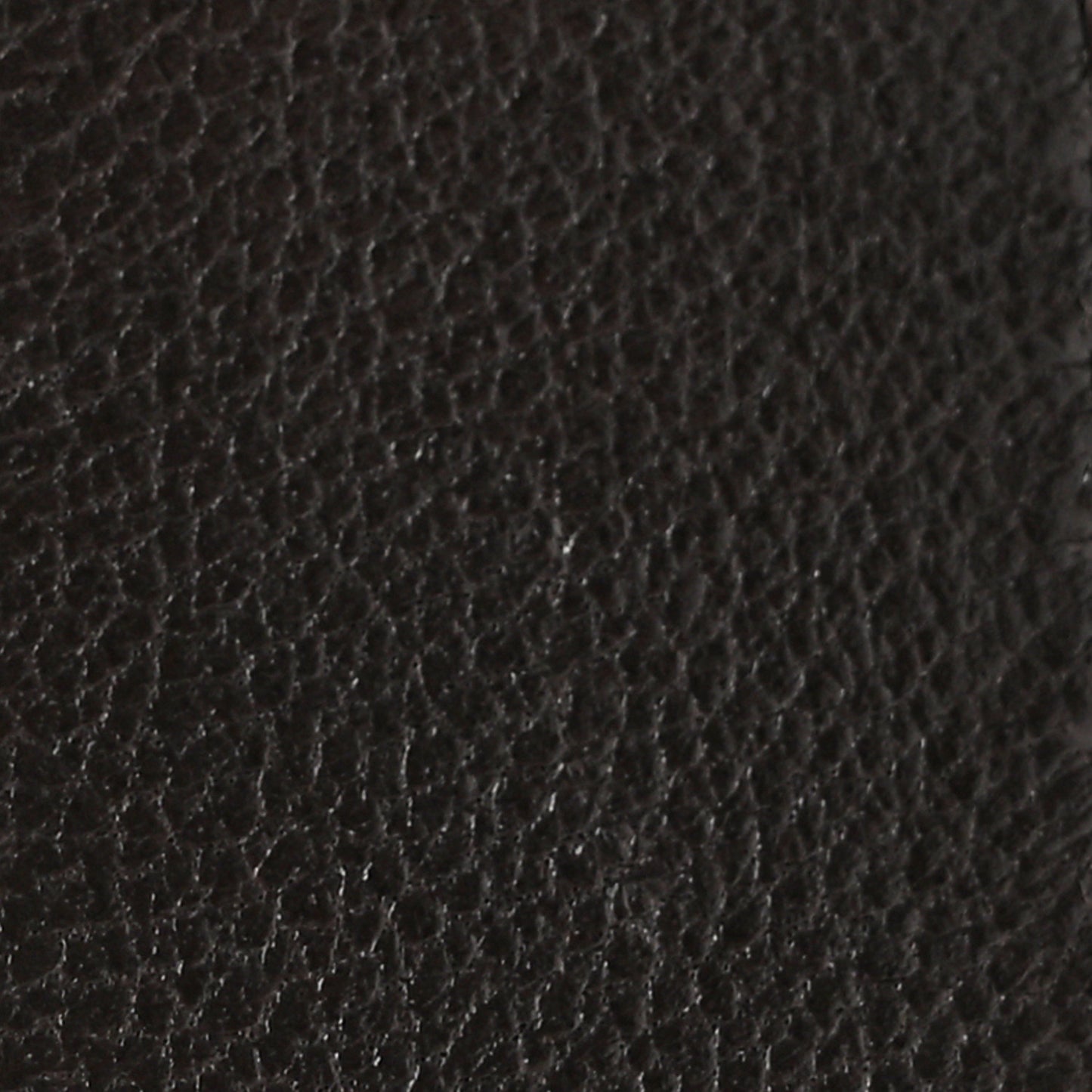 Lambskin Quilted Medium Chanel 19 Flap Dark Brown