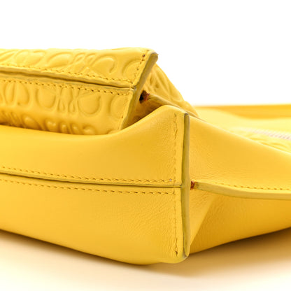 Loewe Calfskin Embossed Large Double Amarillo Pouch Yellow 9 of 17