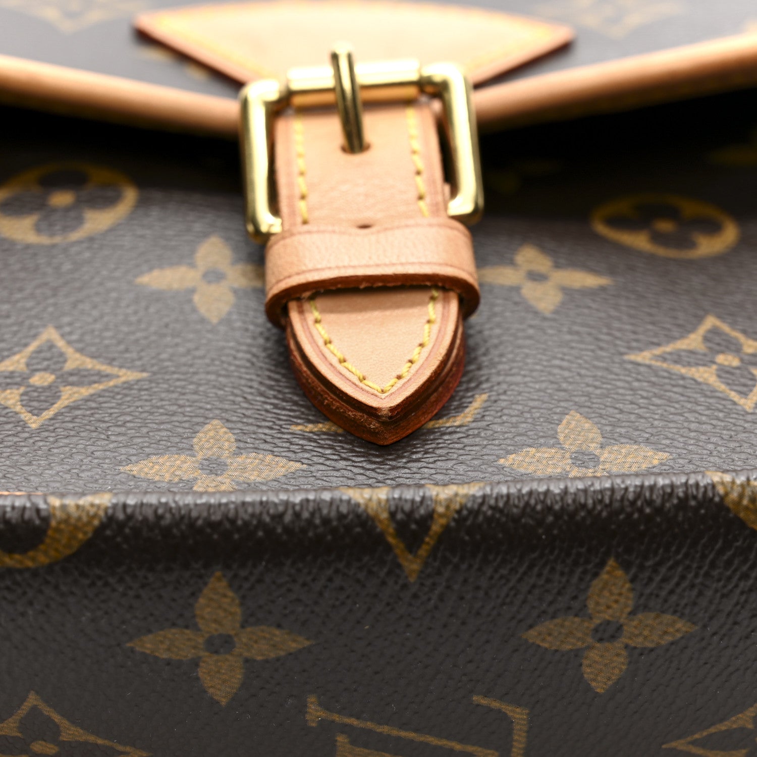 Louis Vuitton Monogram Sologne 16 of 17