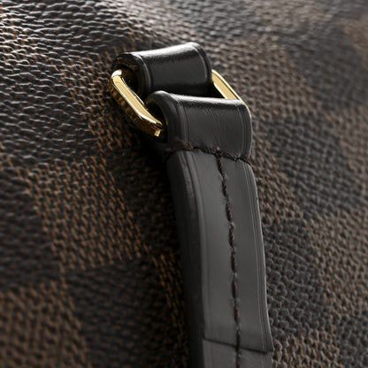 Louis Vuitton Damier Ebene Iena MM 15 of 18