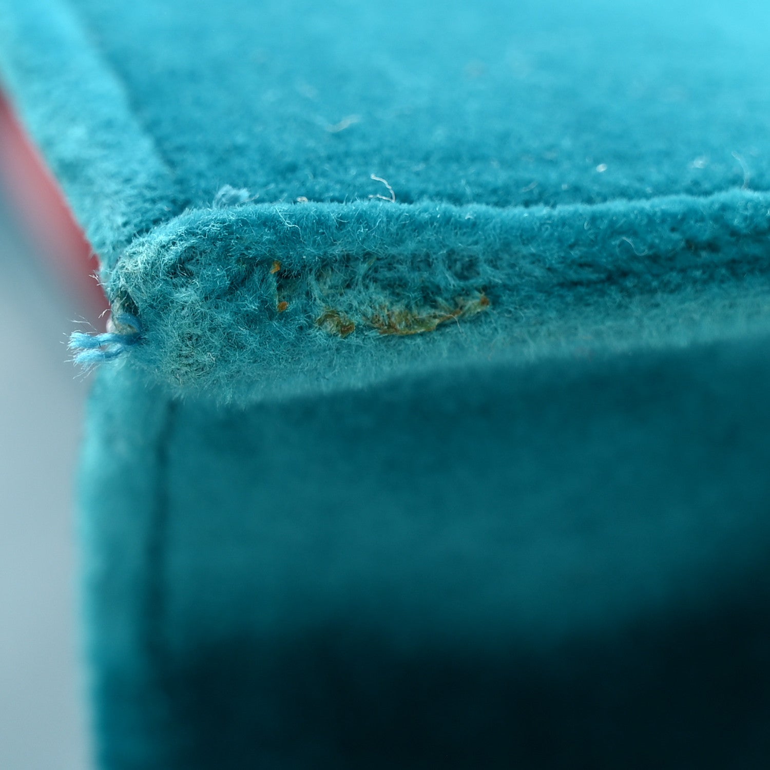 Gucci Velvet Dionysus Clutch Pavone 10 of 10