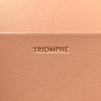 Celine Natural Calfskin Triomphe Strap Bag Nude 7 of 11