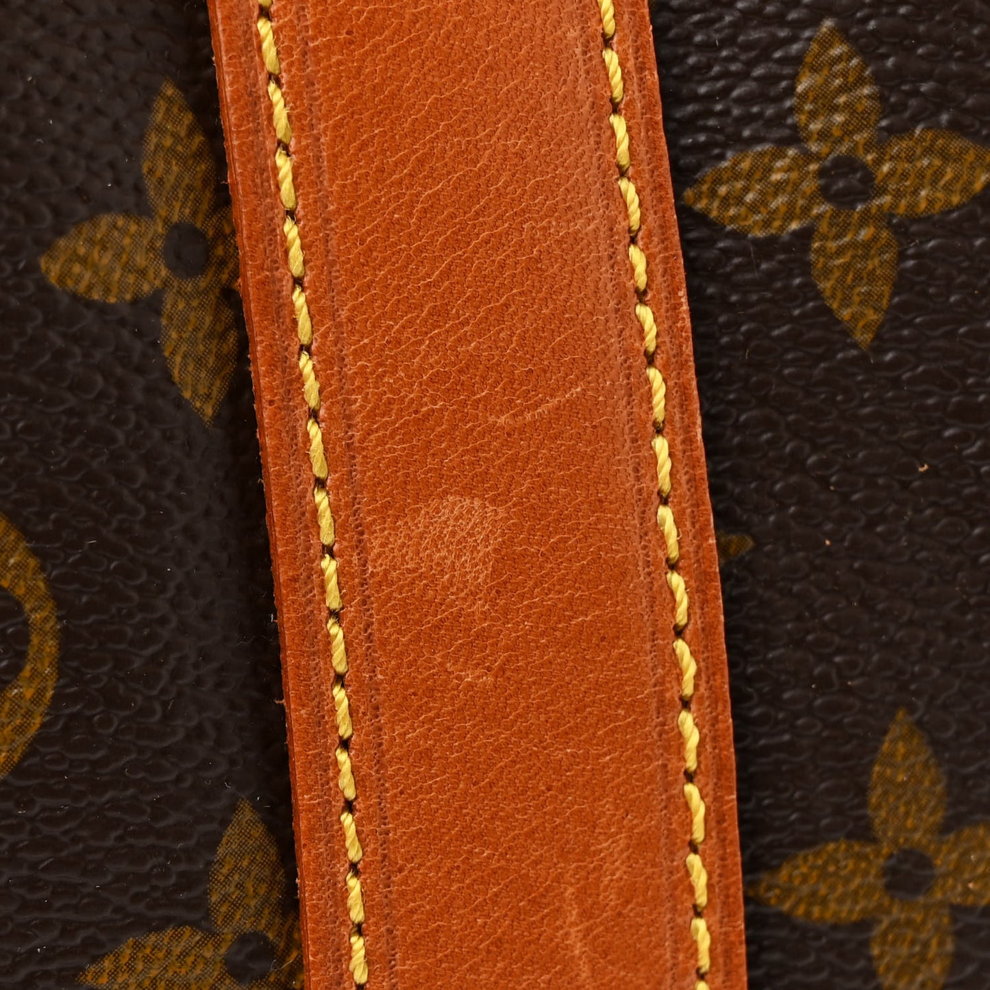 Monogram Randonnee GM Backpack