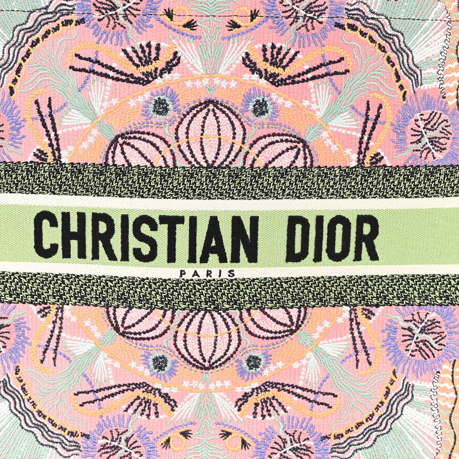 Christian Dior Canvas Embroidered Large In Lights Book Tote Multicolor 8 of 11