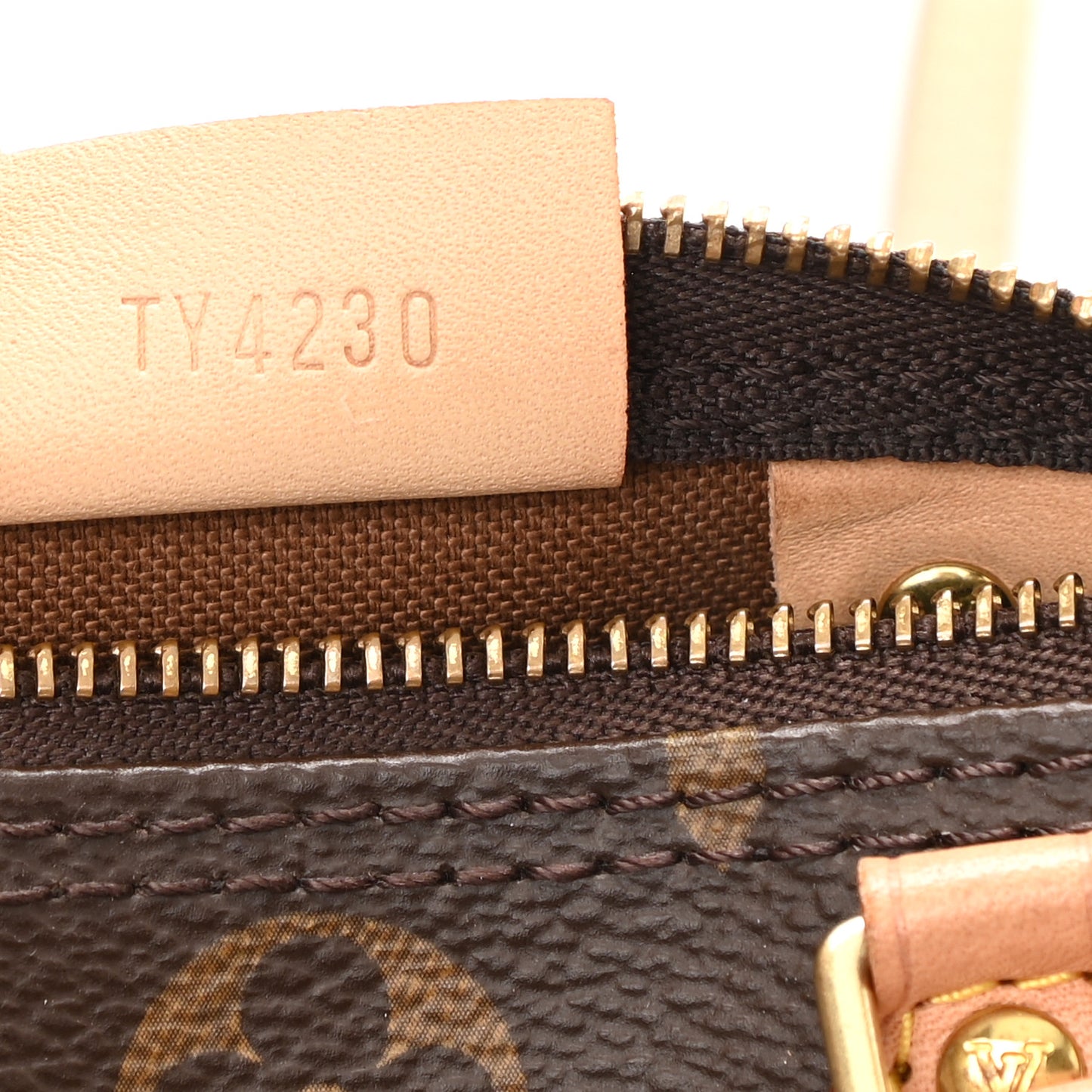 Monogram Nano Speedy