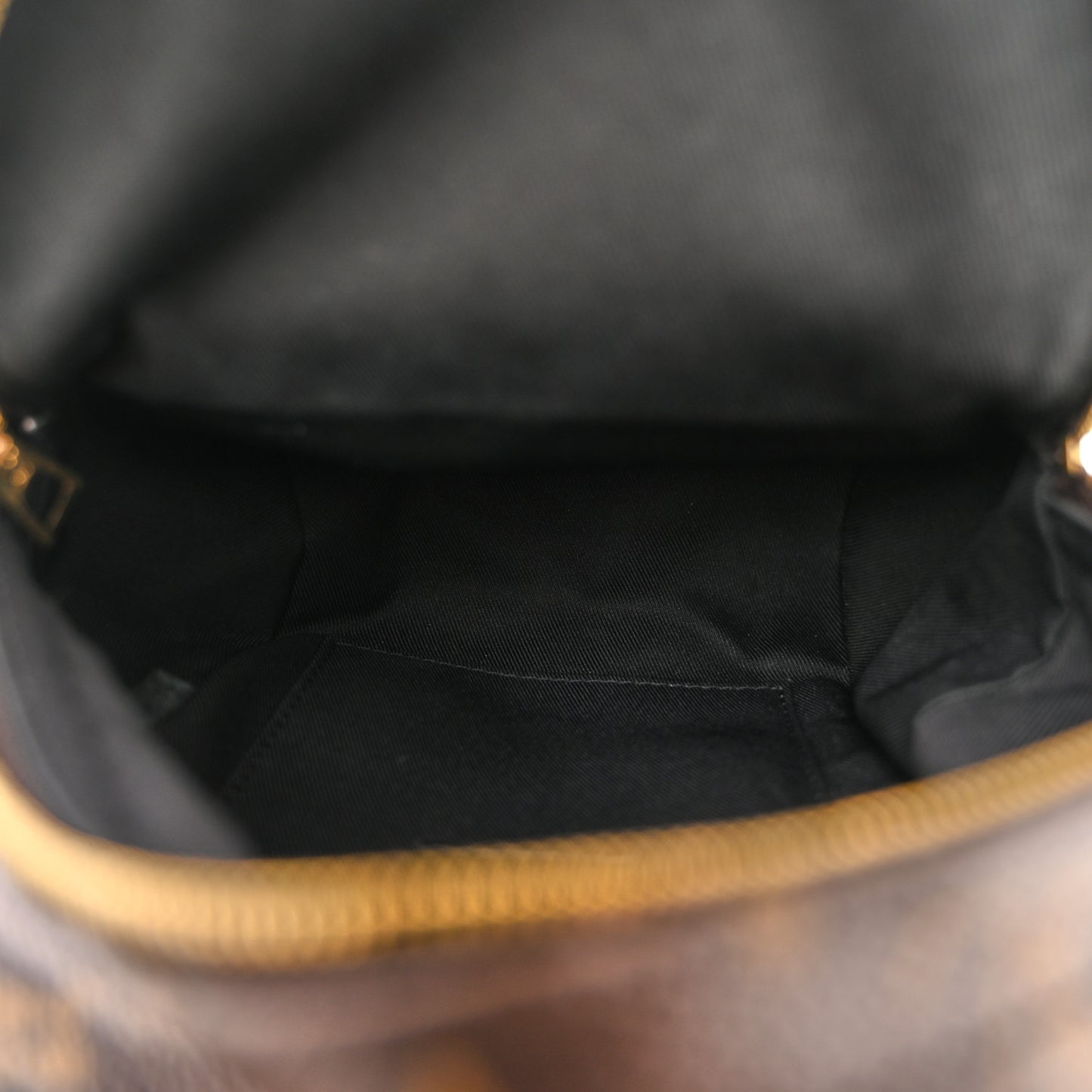 Monogram Palm Springs Backpack Mini