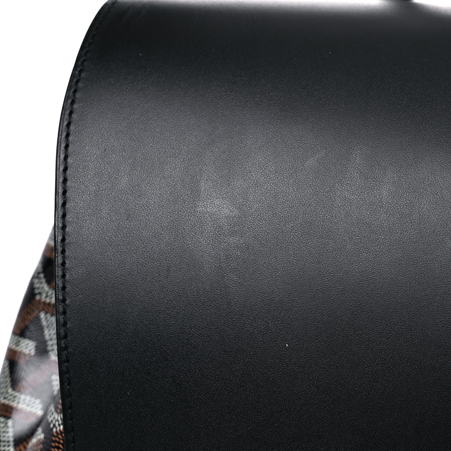 Goyardine Calfskin Alpin MM Backpack Black