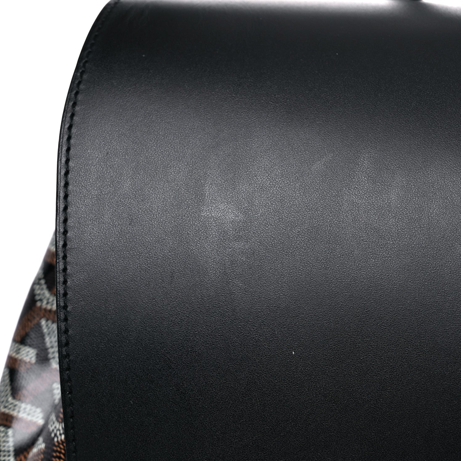 Goyard Goyardine Calfskin Alpin MM Backpack Black 18 of 21