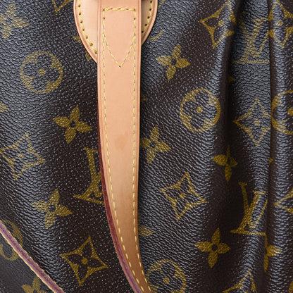 Louis Vuitton Monogram Palermo PM 10 of 12