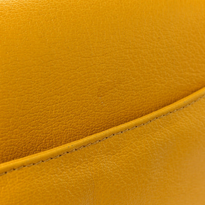 Christian Dior Grained Calfskin Saddle Bag Dark Yellow 12 of 12