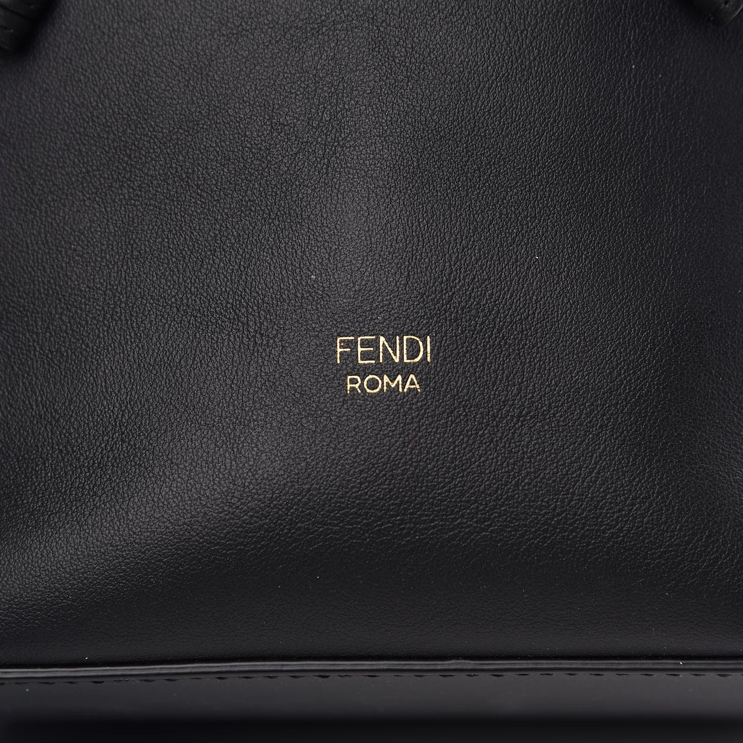 Vitello Grace Matte F is Fendi Grande Mon Tresor Bucket Bag Black