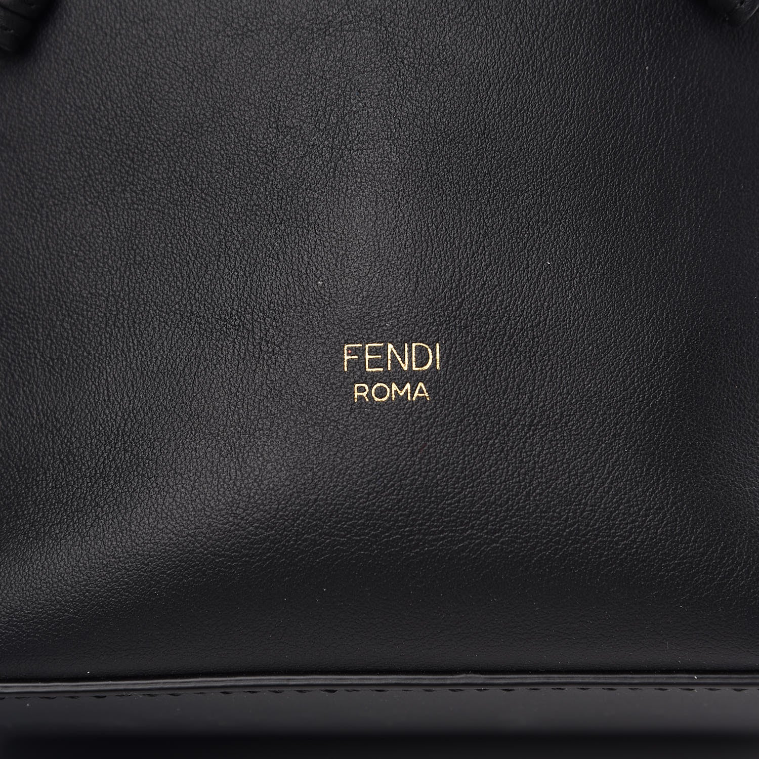 Fendi Vitello Grace Matte F is Fendi Grande Mon Tresor Bucket Bag Black 7 of 9