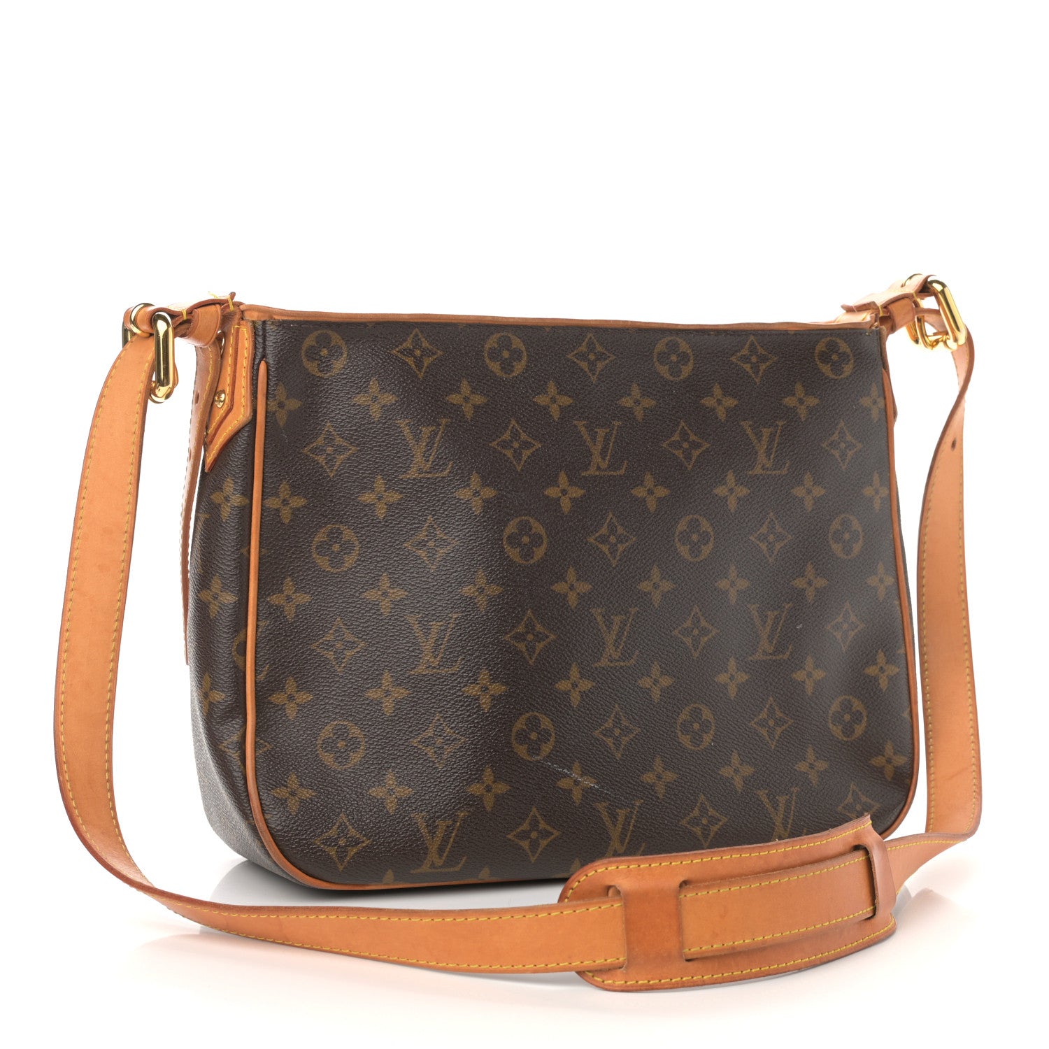 Louis Vuitton Monogram Hudson GM 3 of 18