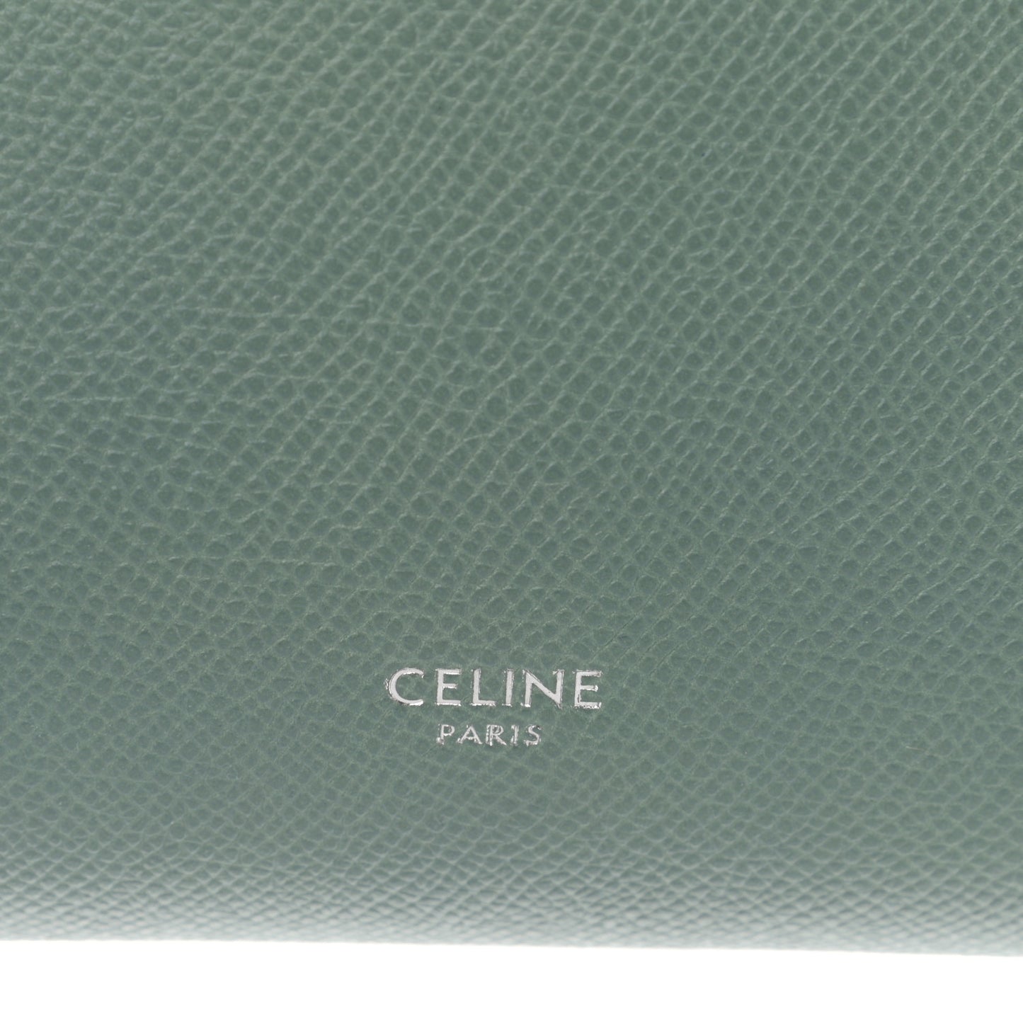Grained Calfskin Nano Belt Bag Celadon