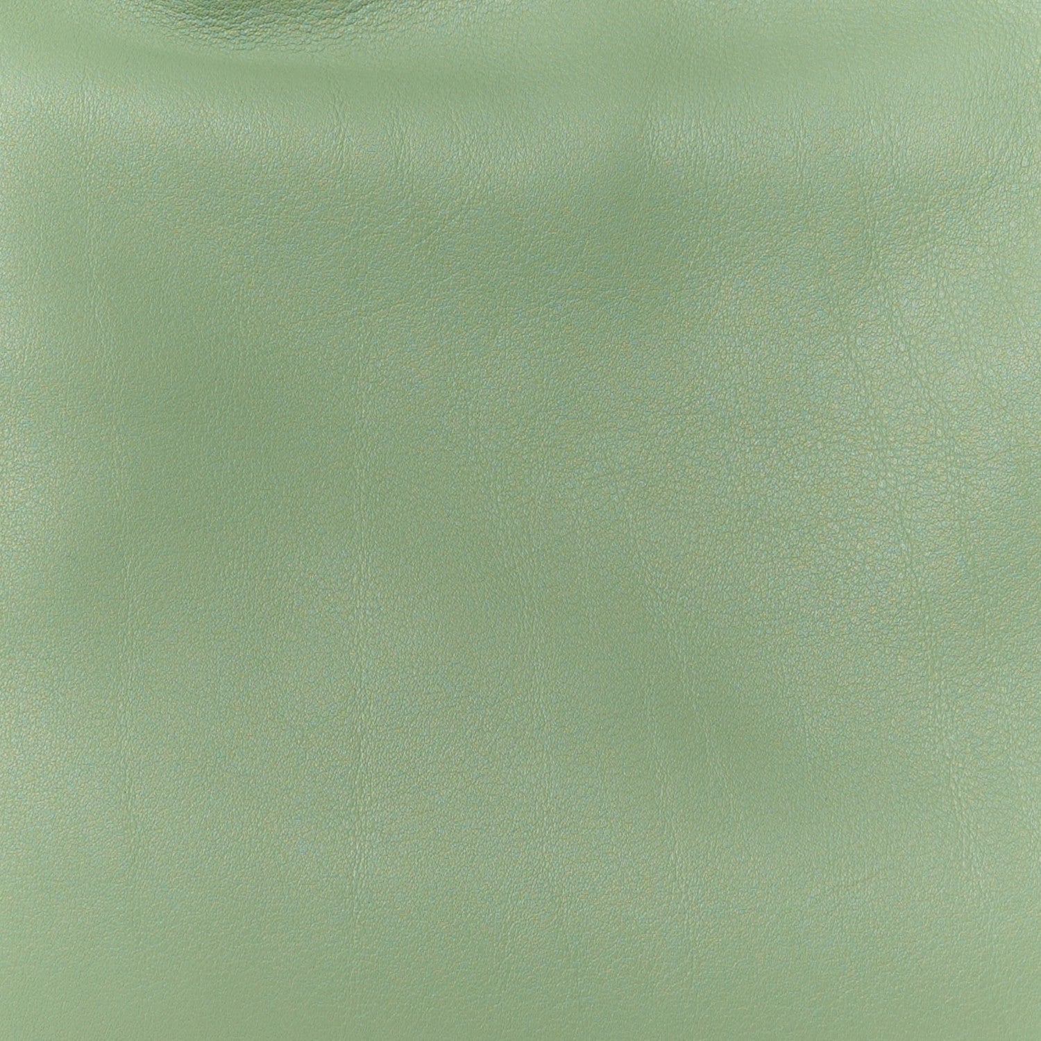 Loewe Calfskin Mini Flamenco Knot Clutch Rosemary 8 of 10